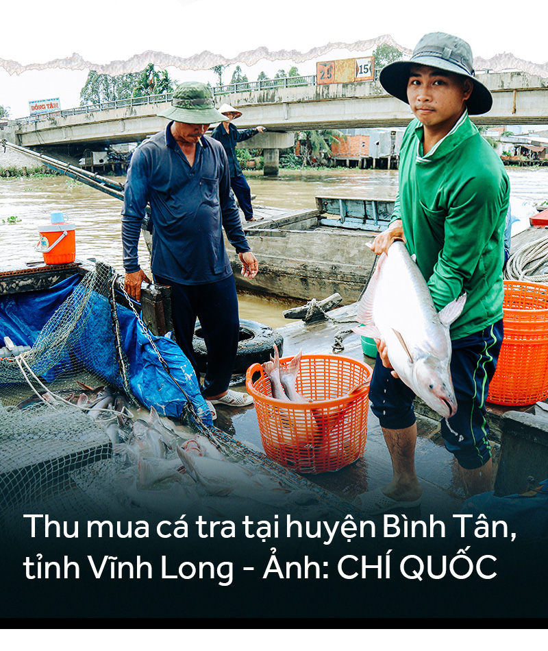Đồng bằng sông Cửu Long: 35 năm thay da đổi thịt - Ảnh 25.
