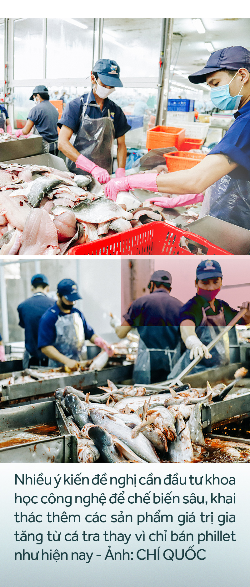 Đồng bằng sông Cửu Long: 35 năm thay da đổi thịt - Ảnh 22.