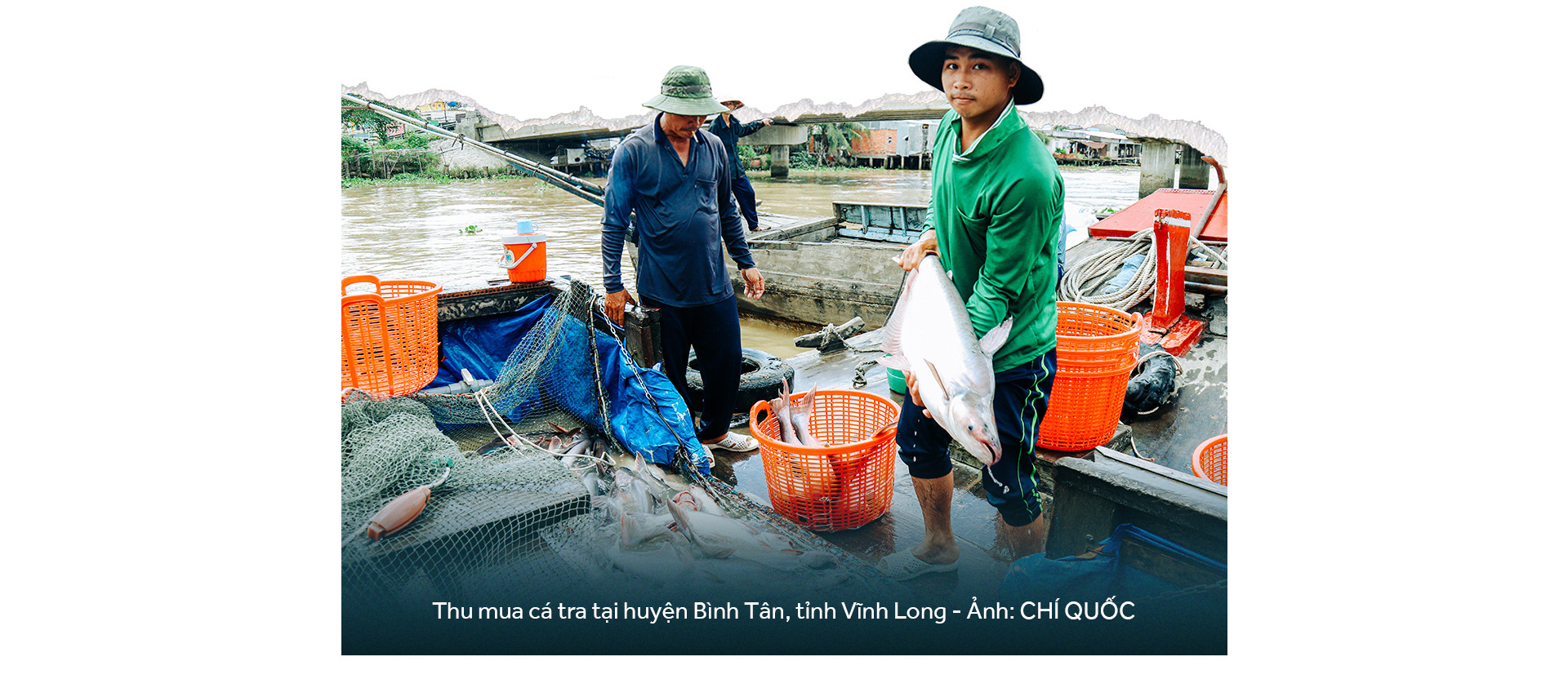 Đồng bằng sông Cửu Long: 35 năm thay da đổi thịt - Ảnh 25.