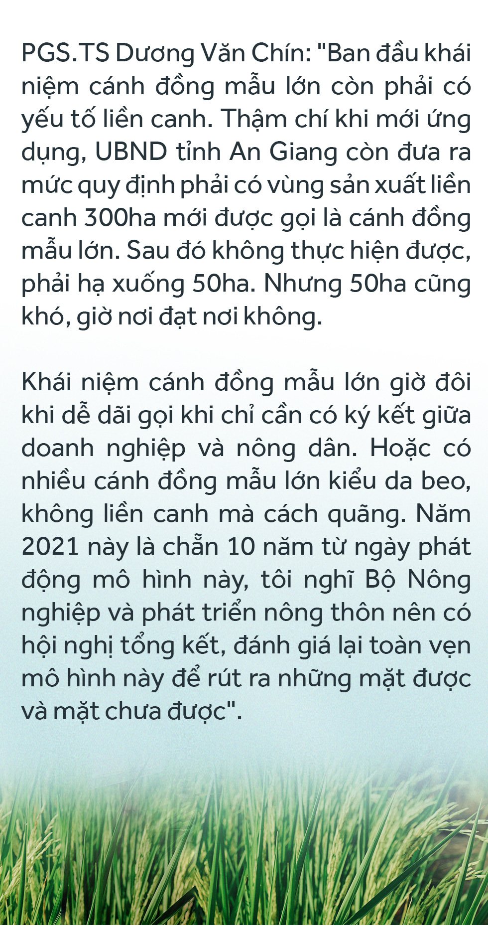 Đồng bằng sông Cửu Long: 35 năm thay da đổi thịt - Ảnh 51.