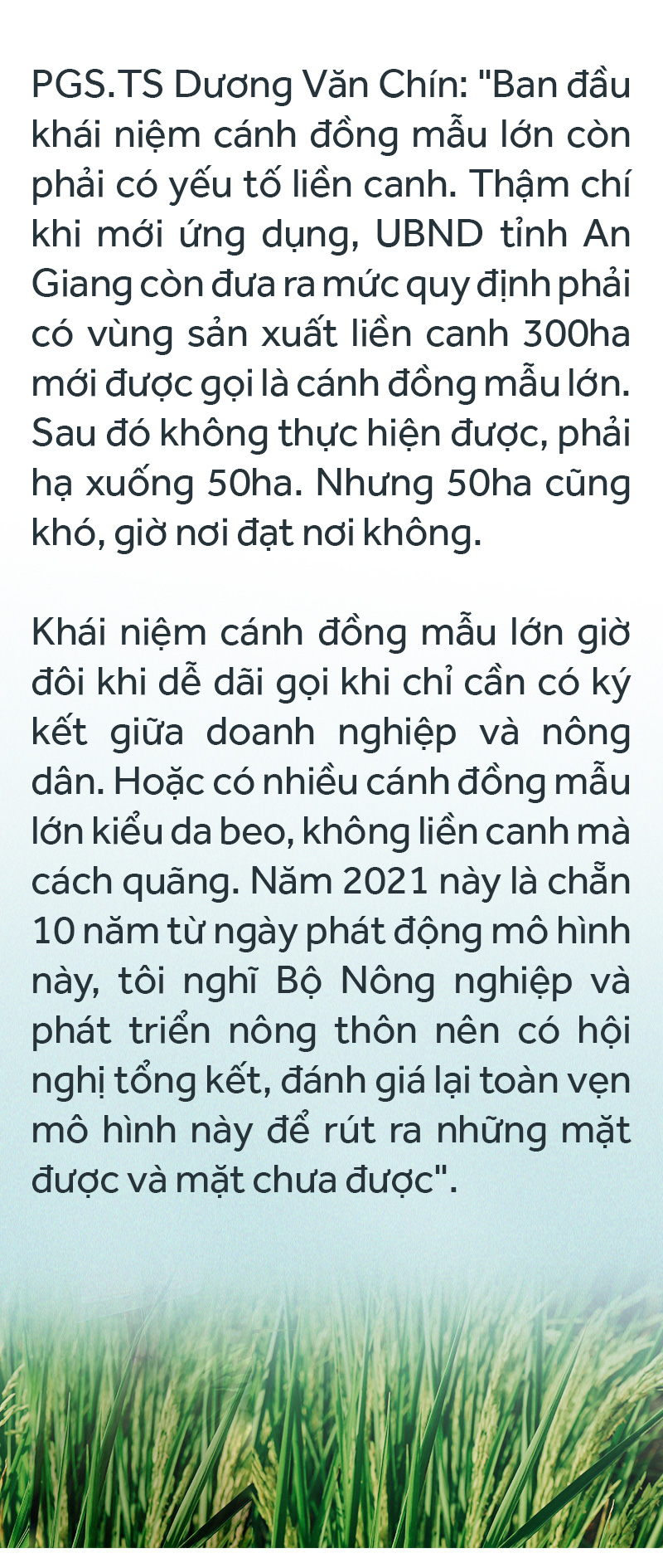 Đồng bằng sông Cửu Long: 35 năm thay da đổi thịt - Ảnh 51.