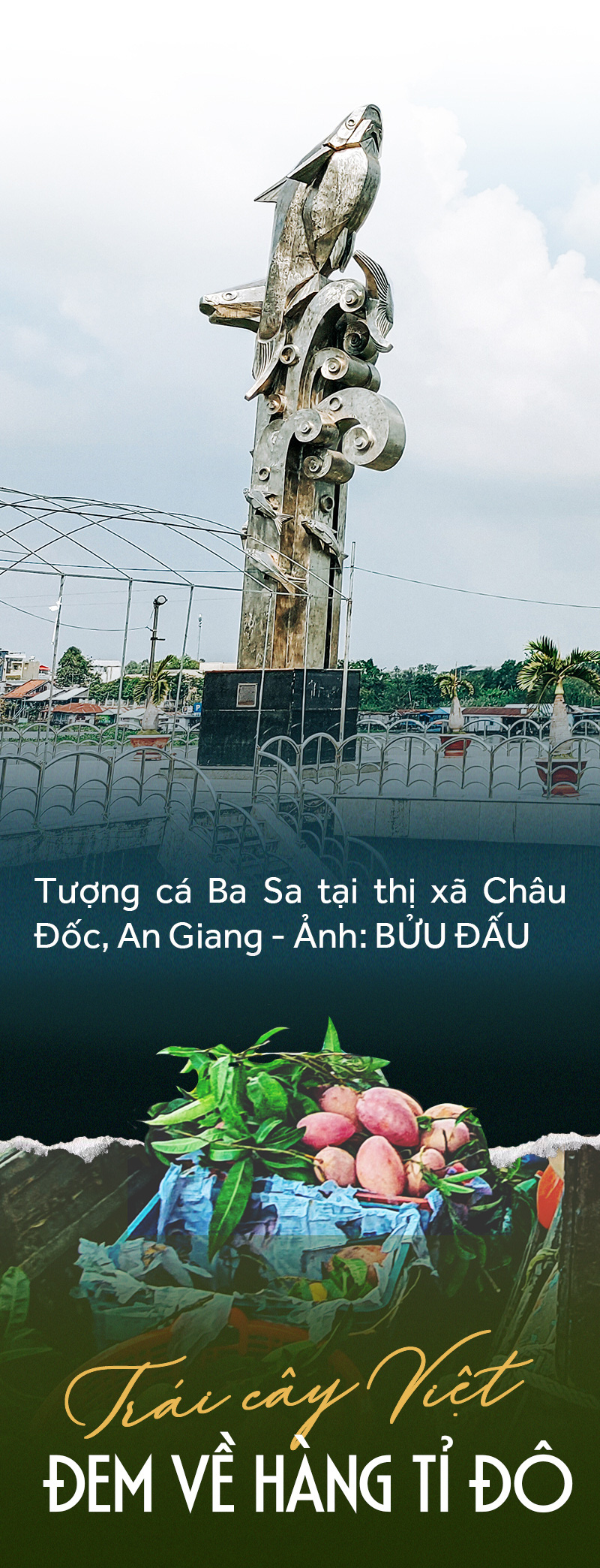 Đồng bằng sông Cửu Long: 35 năm thay da đổi thịt - Ảnh 27.