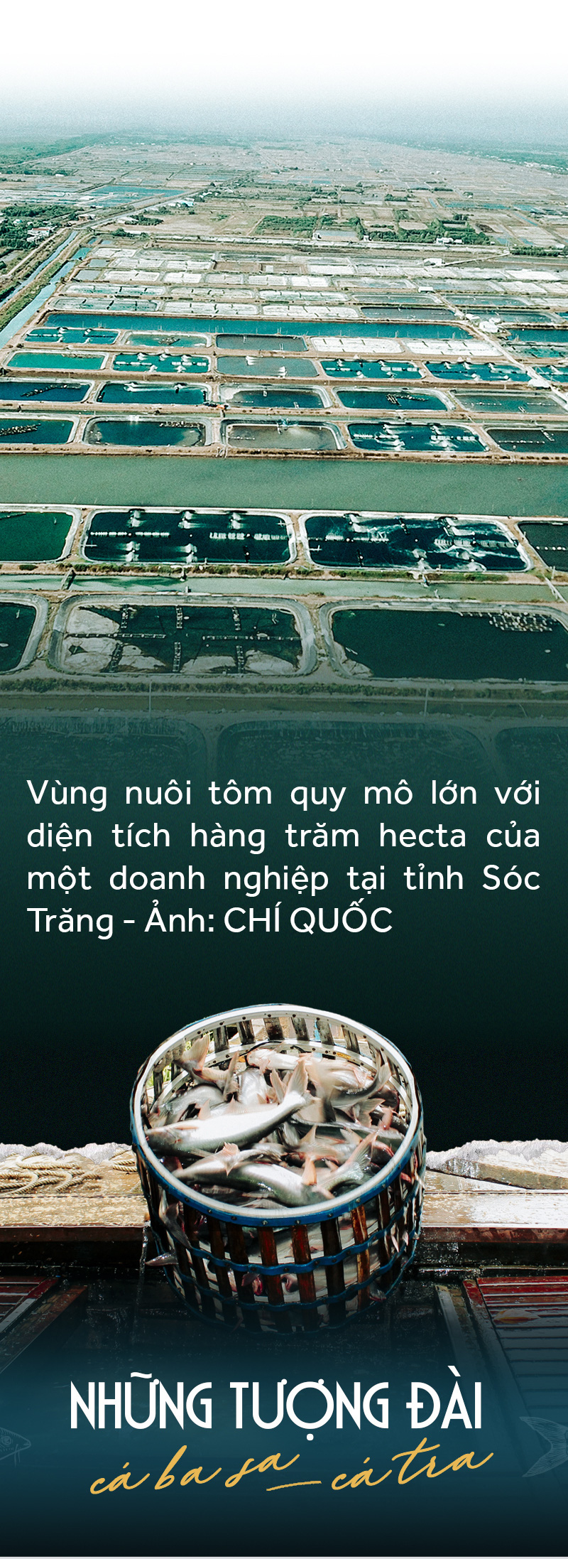 Đồng bằng sông Cửu Long: 35 năm thay da đổi thịt - Ảnh 19.