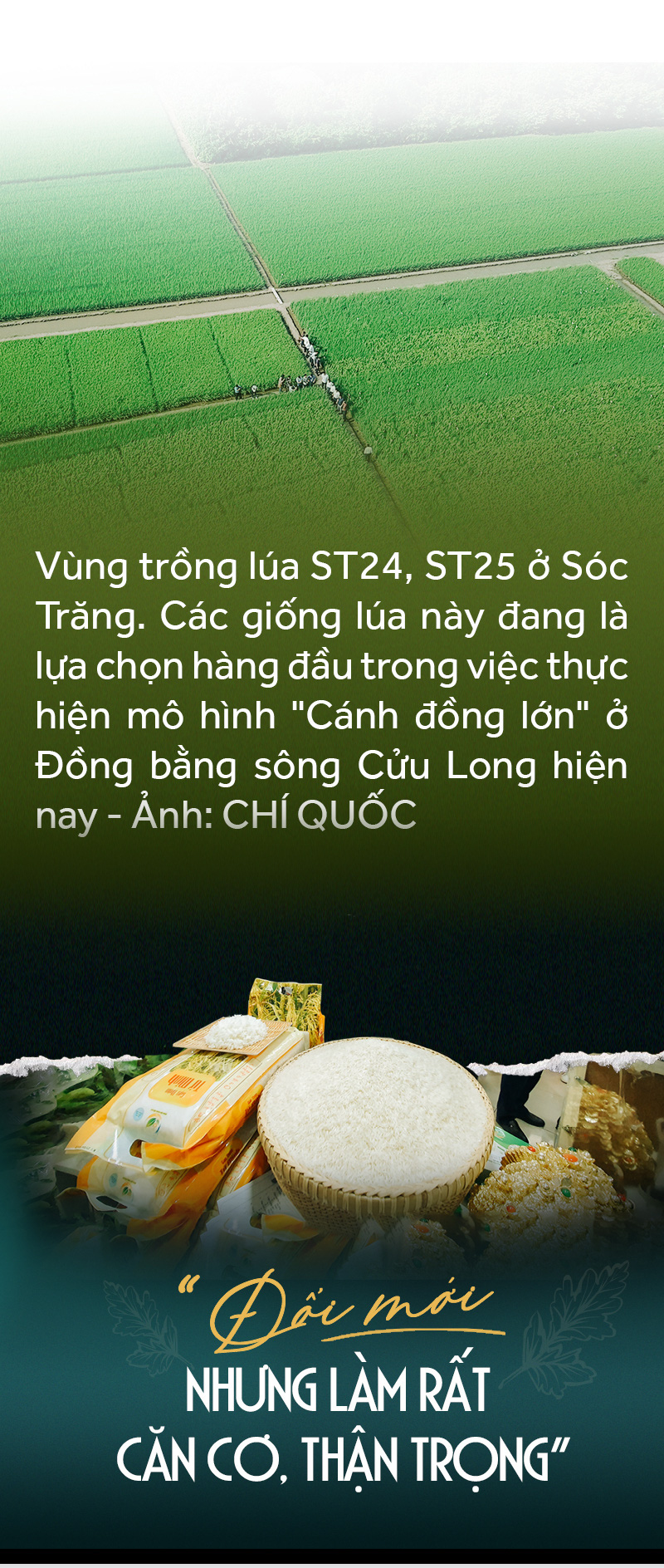 Đồng bằng sông Cửu Long: 35 năm thay da đổi thịt - Ảnh 52.