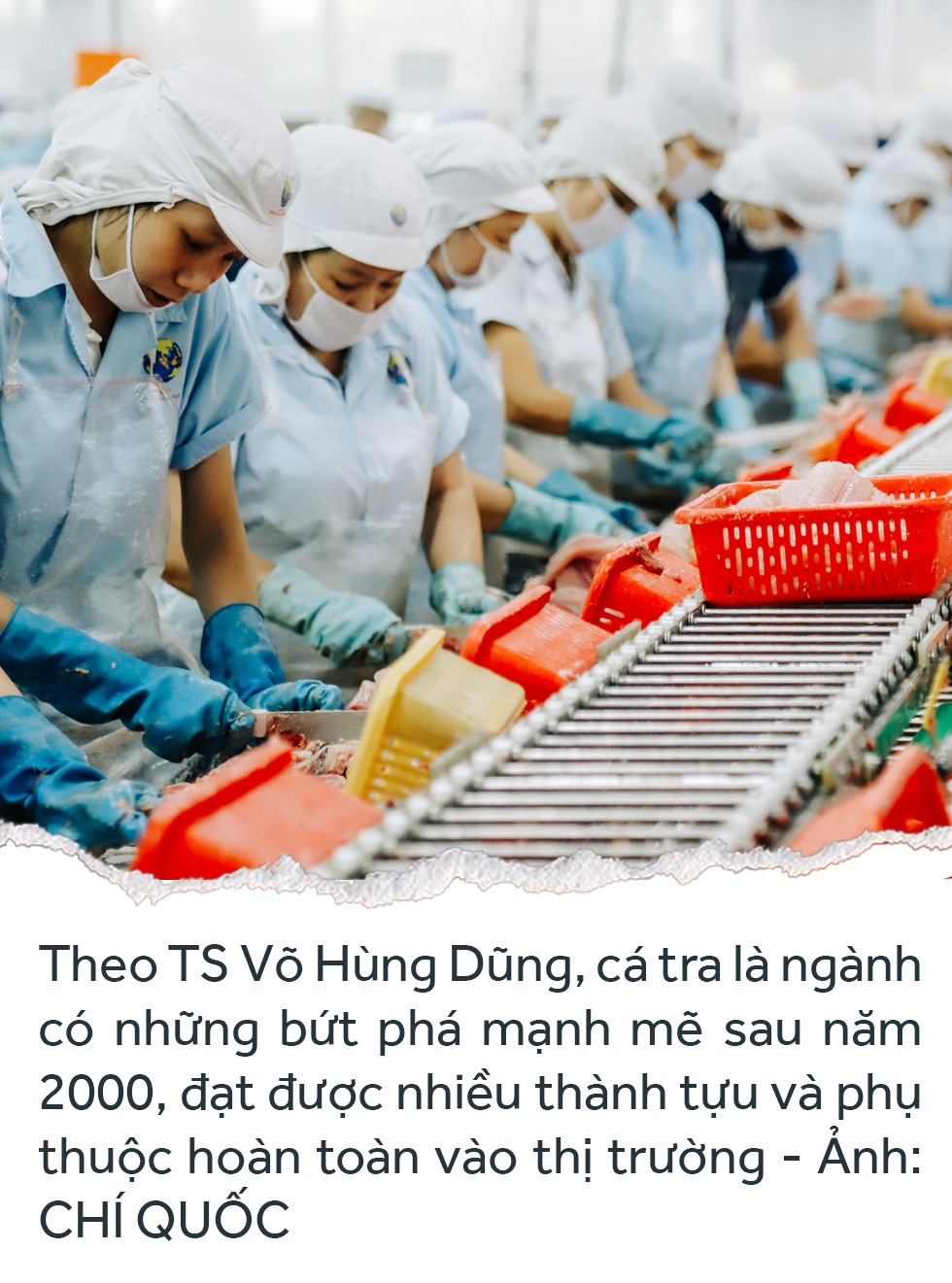 Đồng bằng sông Cửu Long: 35 năm thay da đổi thịt - Ảnh 57.