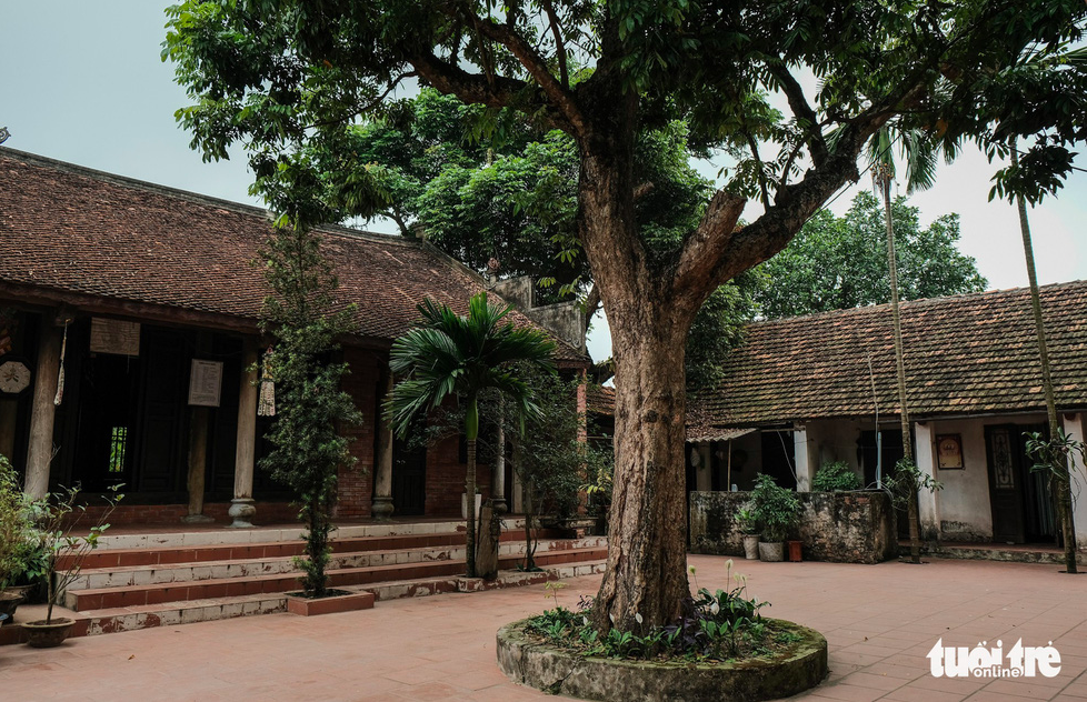 Đức Pháp chủ Giáo hội Phật giáo Việt Nam Thích Phổ Tuệ viên tịch sau 105 năm trụ thế - Ảnh 3.