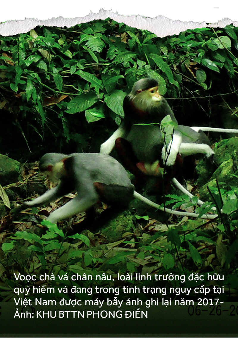 Vượt núi tháo bẫy ảnh - Ảnh 9.