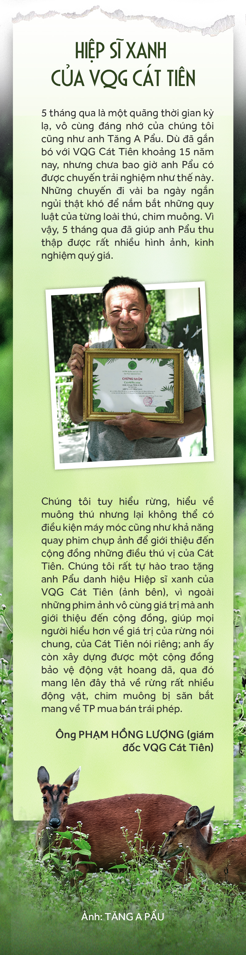 Chuyện 5 tháng cách ly trong rừng của một nhiếp ảnh gia - Ảnh 12.