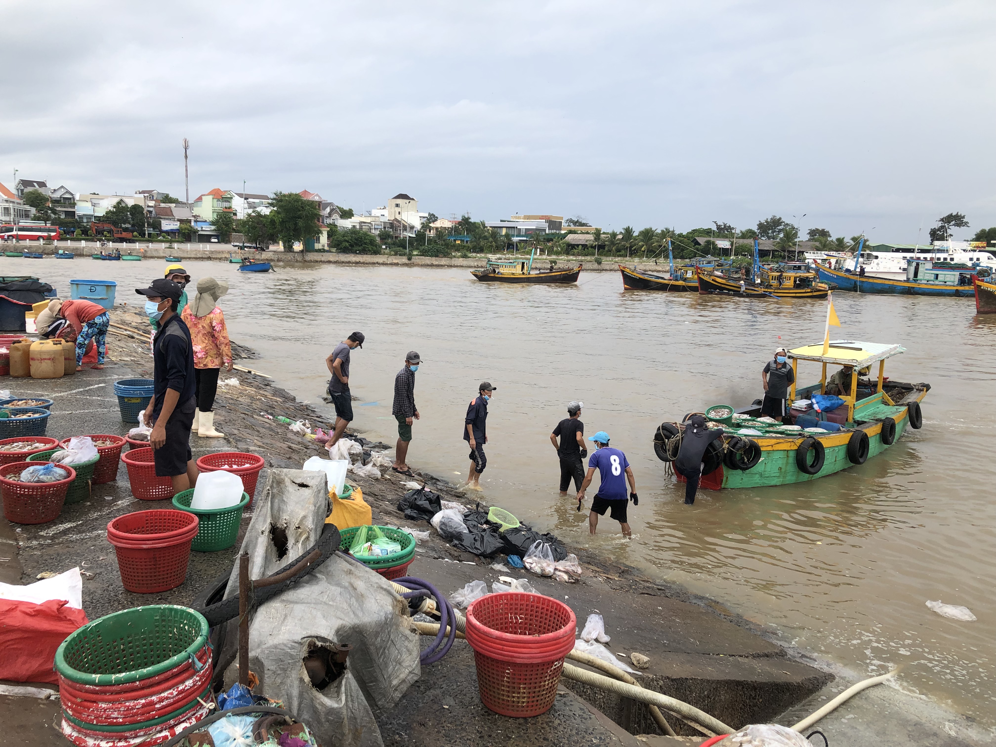 Từ 5-10, doanh nghiệp đảm bảo 3 tại chỗ mới được hoạt động trong cảng cá Phan Thiết - Ảnh 1.