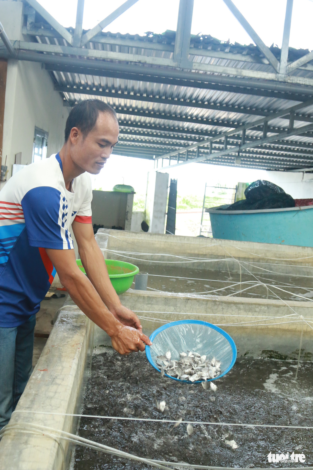 Tiến sĩ cá của ngư dân - Ảnh 1. Tiến sĩ cá của ngư dân - Ảnh 1.