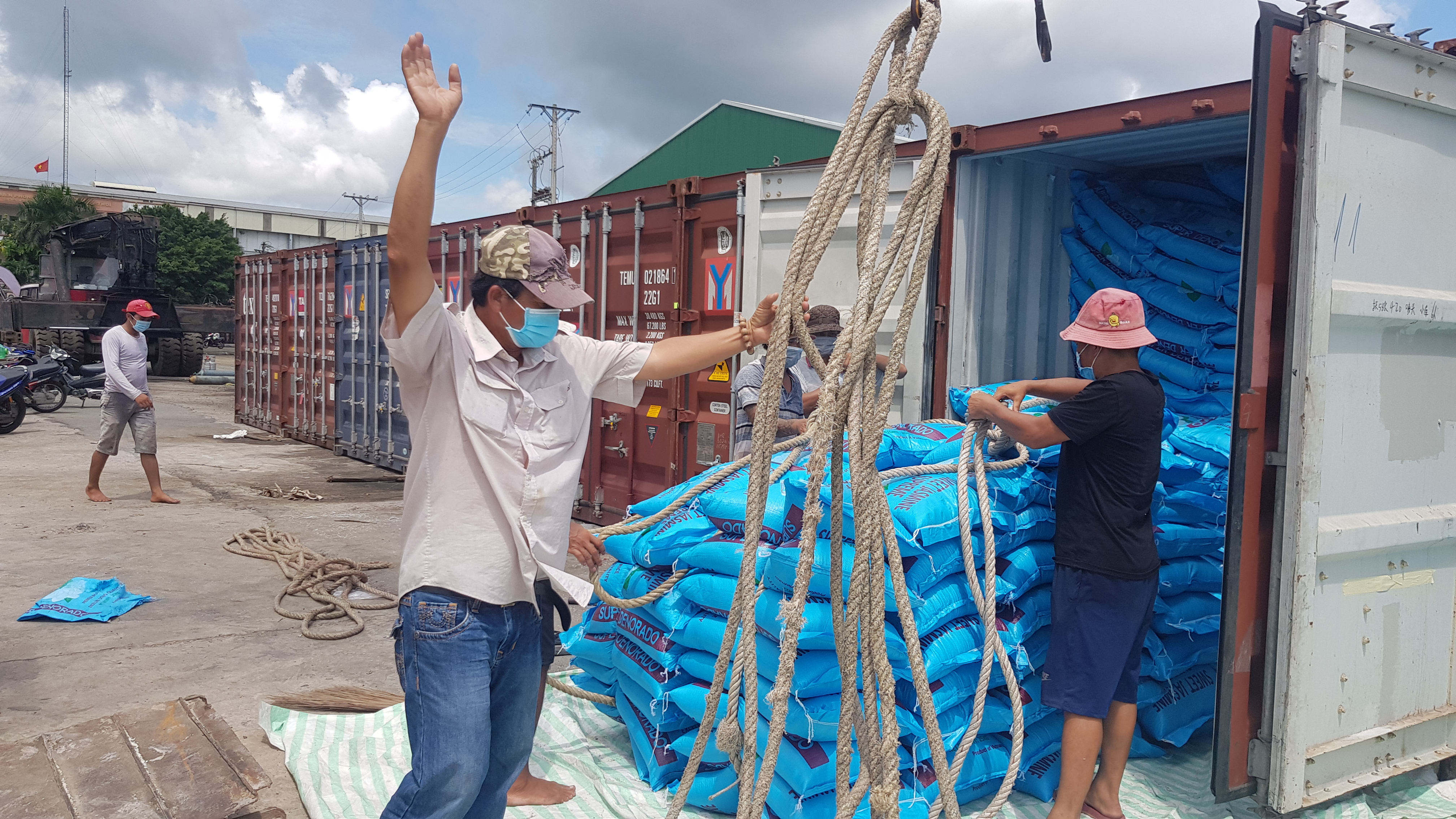 Gạo Việt Nam bị nhái tràn lan, không ai xử lý - Ảnh 1. Gạo Việt Nam bị nhái tràn lan, không ai xử lý - Ảnh 1.