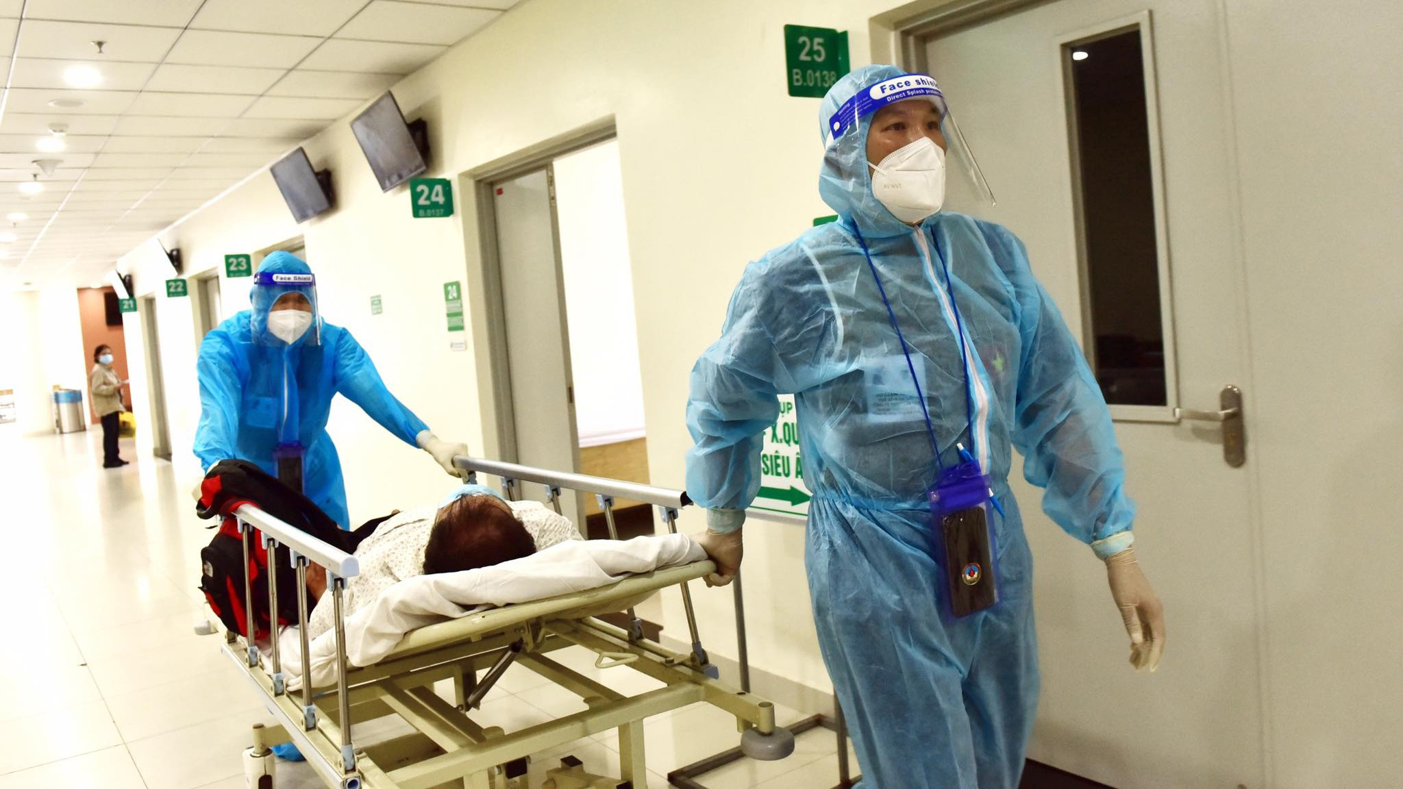 Vuốt tóc rụng cả nắm, phải làm sao? - Ảnh 1. Vuốt tóc rụng cả nắm, phải làm sao? - Ảnh 1.