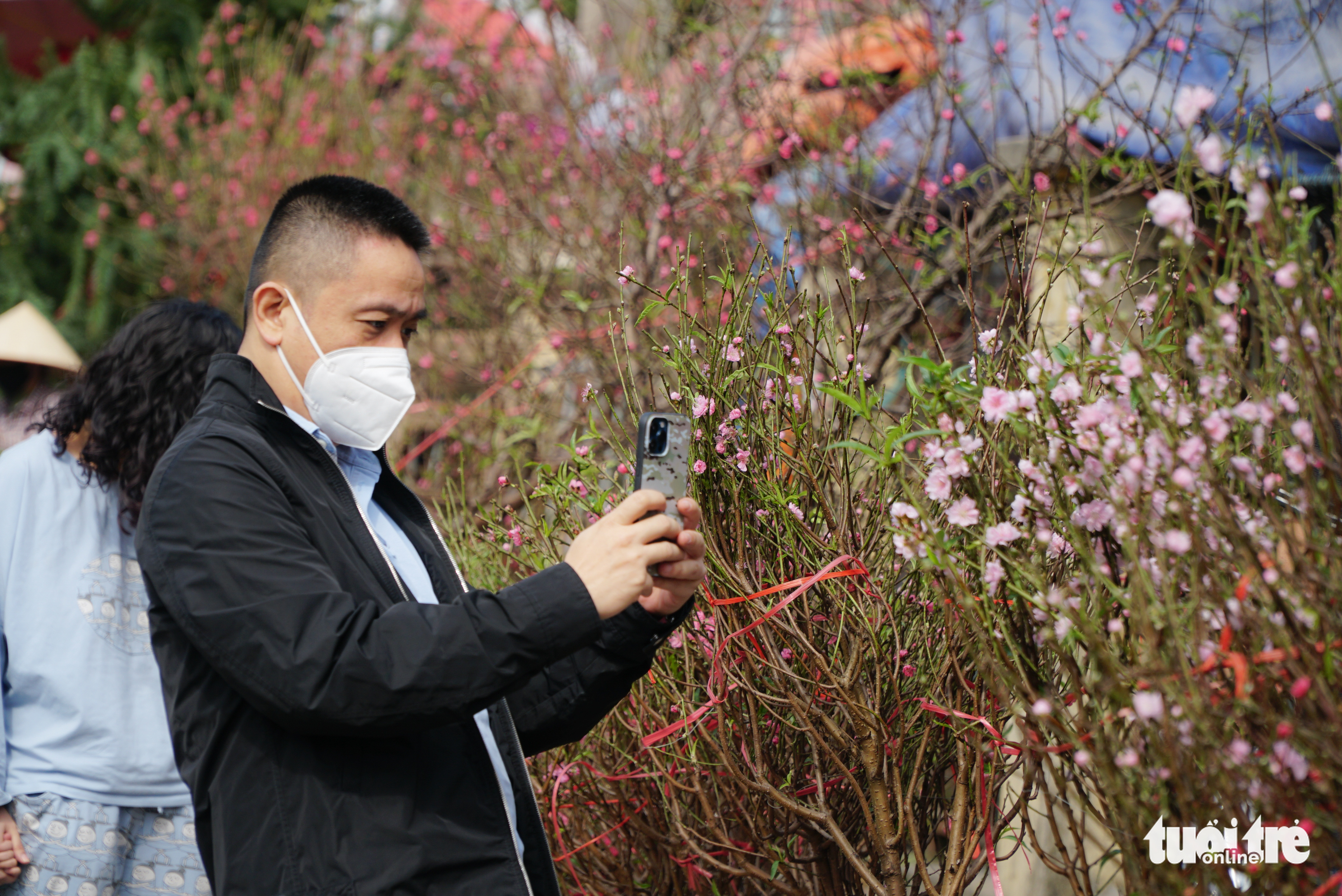 Hoa đào nở sớm, giá rẻ mà vẫn ít khách mua - Ảnh 6. Hoa đào nở sớm, giá rẻ mà vẫn ít khách mua - Ảnh 6.