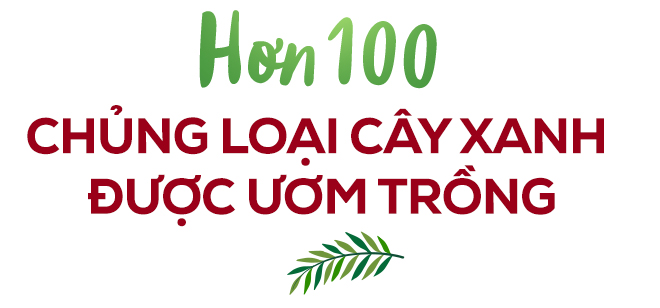 Khám phá hệ cảnh quan gần 2ha với hơn 100 loại thực vật tại The Peak Phú Mỹ Hưng Midtown - Ảnh 2.