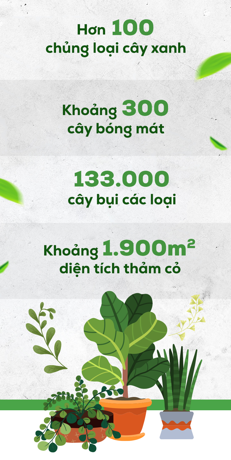 Khám phá hệ cảnh quan gần 2ha với hơn 100 loại thực vật tại The Peak Phú Mỹ Hưng Midtown - Ảnh 3.