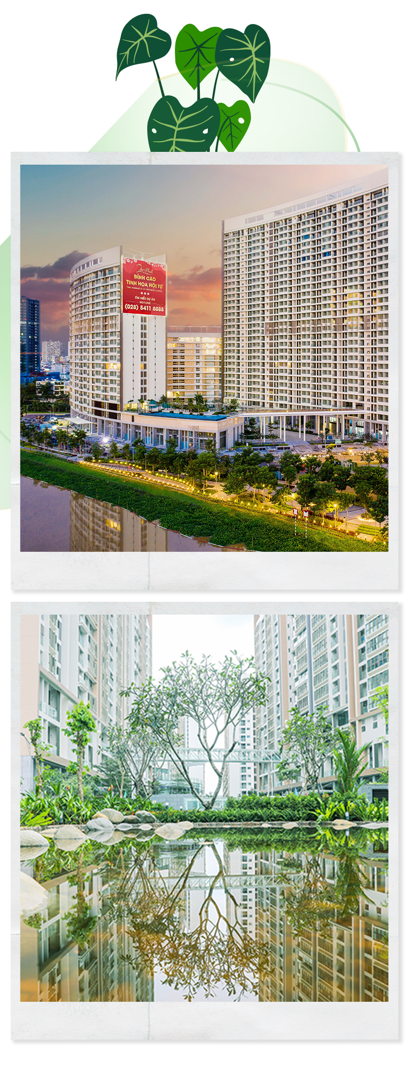 Khám phá hệ cảnh quan gần 2ha với hơn 100 loại thực vật tại The Peak Phú Mỹ Hưng Midtown - Ảnh 4.