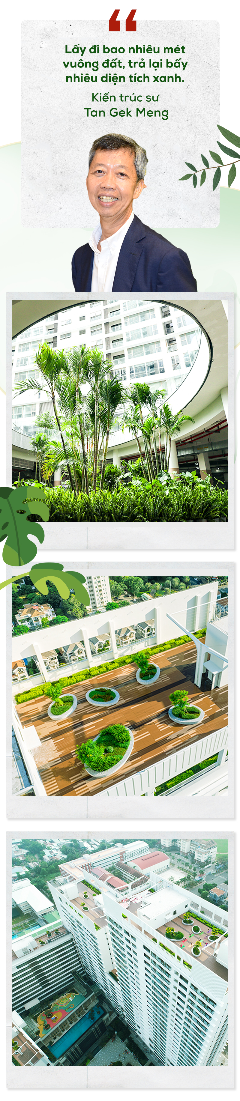 Khám phá hệ cảnh quan gần 2ha với hơn 100 loại thực vật tại The Peak Phú Mỹ Hưng Midtown - Ảnh 6.