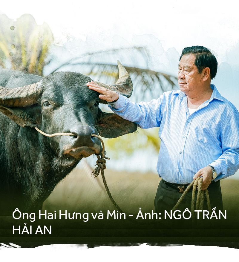 Gặp vua trâu nghe kể chuyện trâu vua - Ảnh 5.
