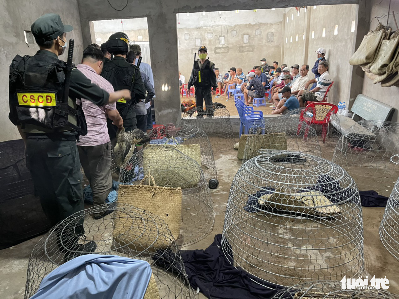 Triệt phá 2 trường gà lớn, bắt gần 100 con bạc ngày mùng 2 Tết - Ảnh 2. Triệt phá 2 trường gà lớn, bắt gần 100 con bạc ngày mùng 2 Tết - Ảnh 2.