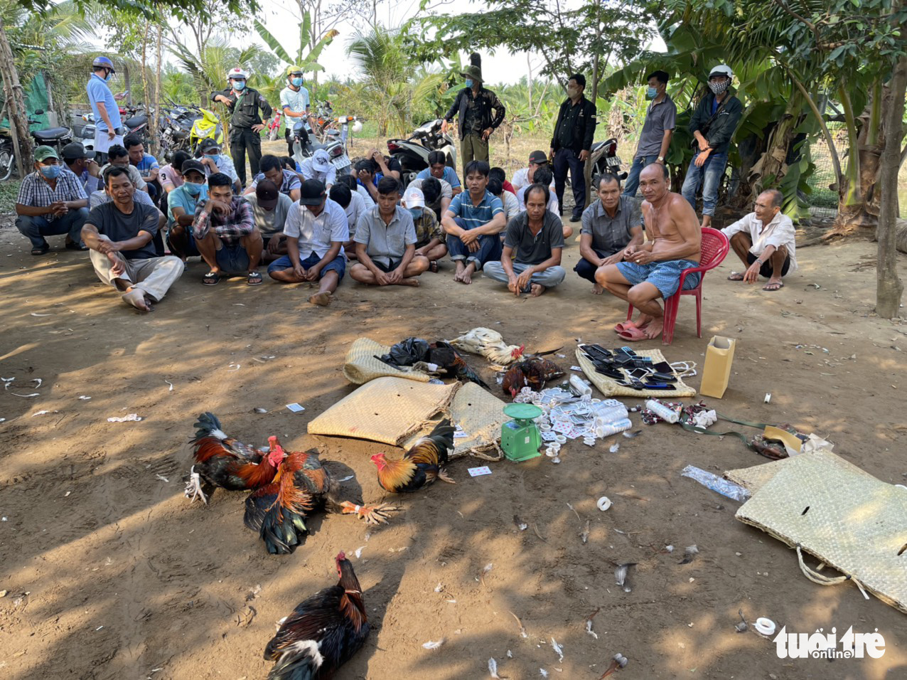 Triệt phá 2 trường gà lớn, bắt gần 100 con bạc ngày mùng 2 Tết - Ảnh 3. Triệt phá 2 trường gà lớn, bắt gần 100 con bạc ngày mùng 2 Tết - Ảnh 3.