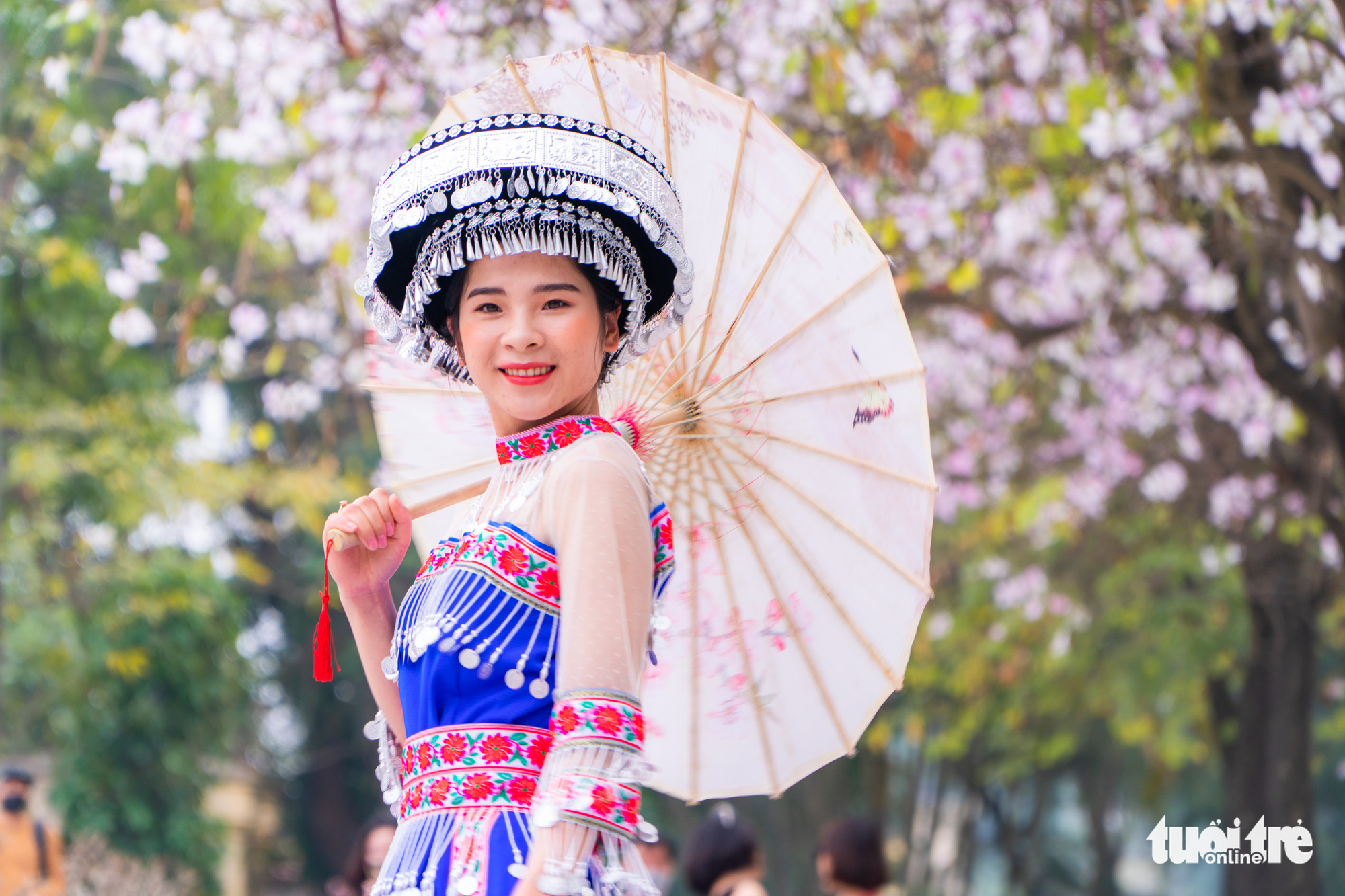 Ngắm hoa ban nở rực rỡ trên đường phố thủ đô - Ảnh 6. Ngắm hoa ban nở rực rỡ trên đường phố thủ đô - Ảnh 6.