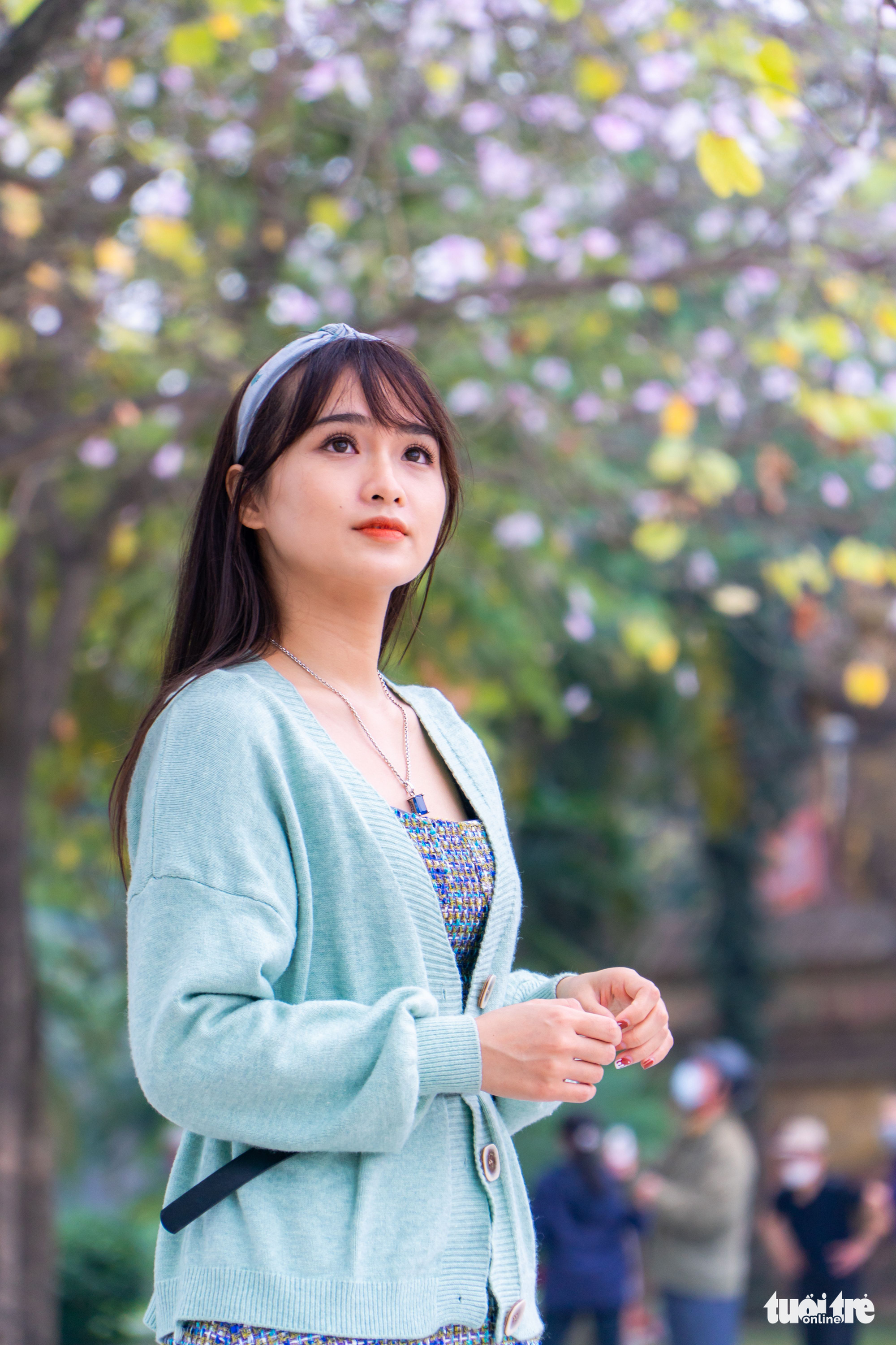 Ngắm hoa ban nở rực rỡ trên đường phố thủ đô - Ảnh 9. Ngắm hoa ban nở rực rỡ trên đường phố thủ đô - Ảnh 9.