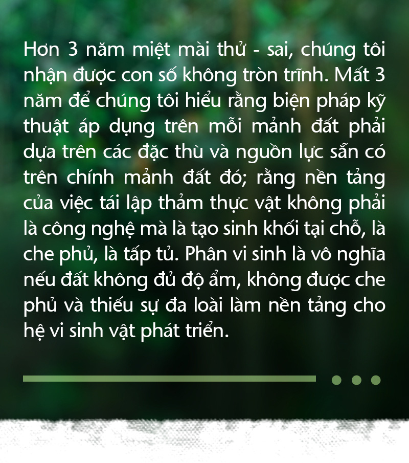 Trồng cây và nương tựa tự nhiên - Ảnh 15.
