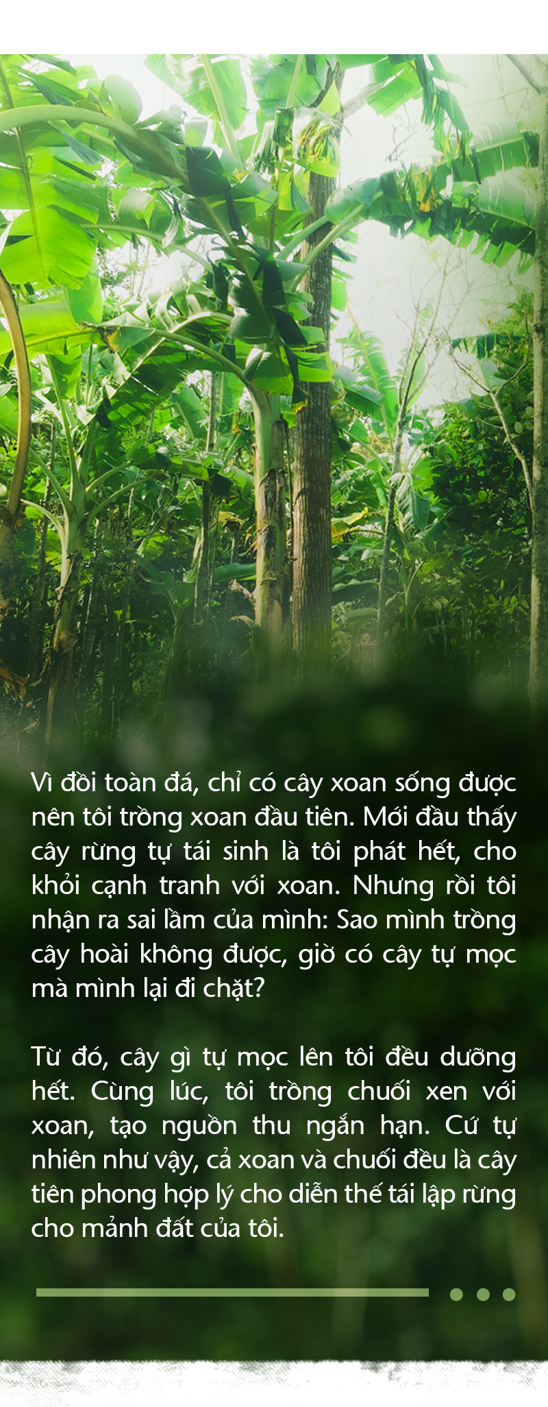 Trồng cây và nương tựa tự nhiên - Ảnh 2.
