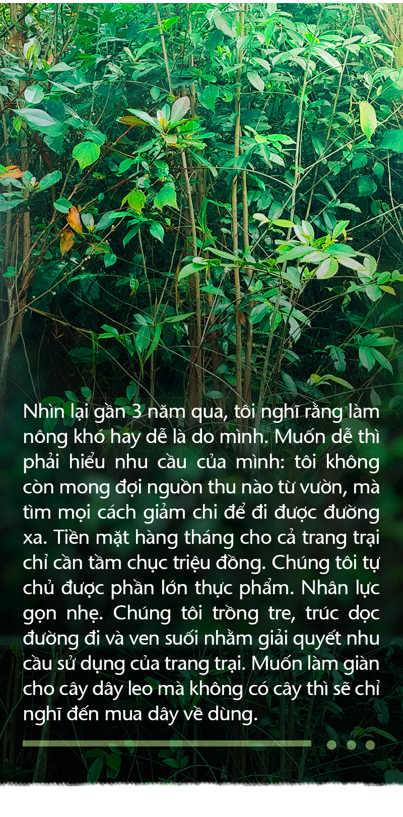 Trồng cây và nương tựa tự nhiên - Ảnh 10.