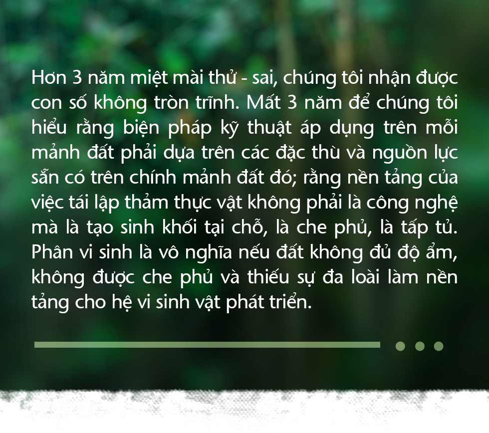 Trồng cây và nương tựa tự nhiên - Ảnh 15.