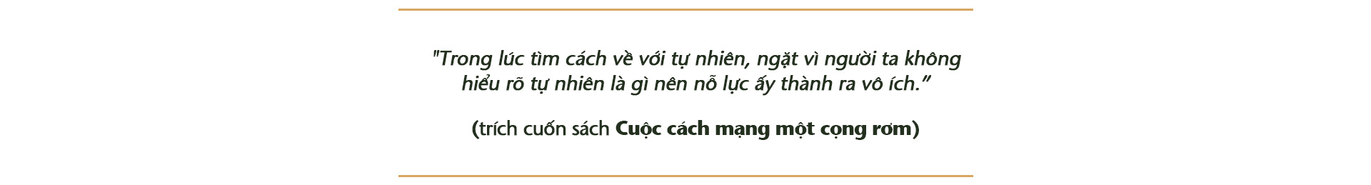 Trồng cây và nương tựa tự nhiên - Ảnh 6.