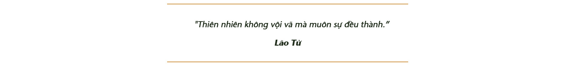 Trồng cây và nương tựa tự nhiên - Ảnh 9.