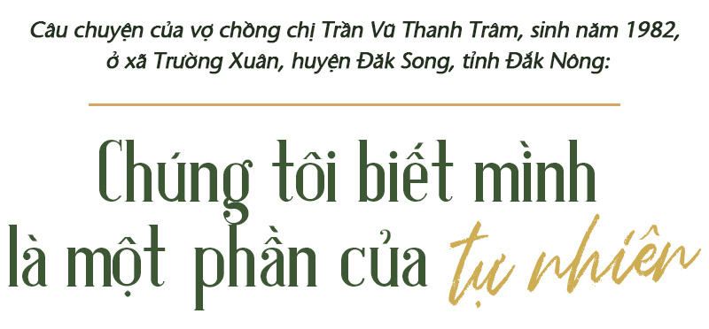 Trồng cây và nương tựa tự nhiên - Ảnh 11.