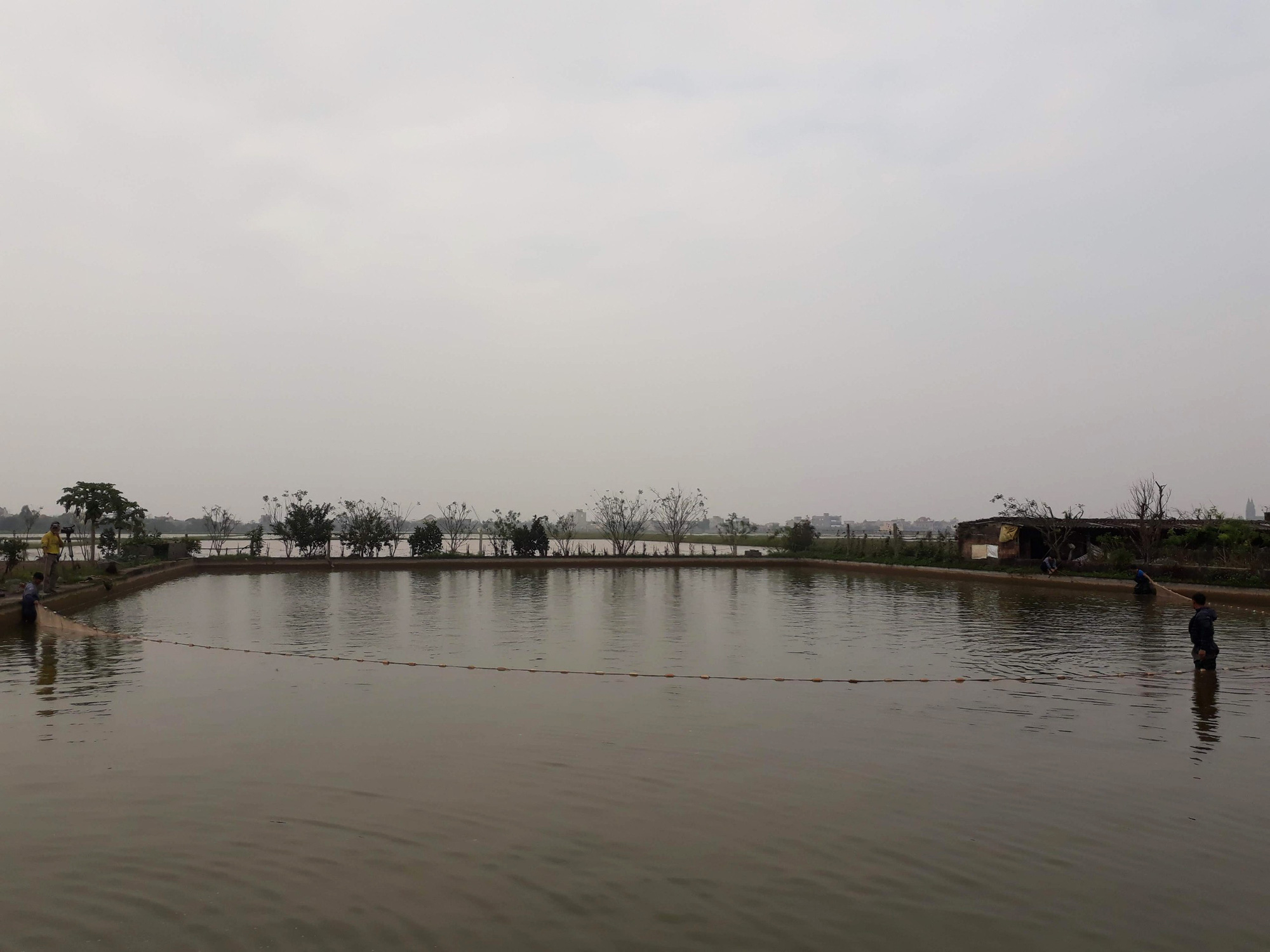 Cá chép đỏ vượt cổng làng phục vụ tết ông Công, ông Táo - Ảnh 2. Cá chép đỏ vượt cổng làng phục vụ tết ông Công, ông Táo - Ảnh 2.