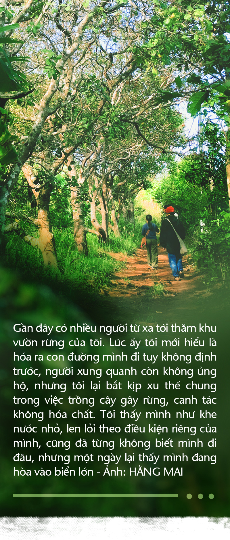 Trồng cây và nương tựa tự nhiên - Ảnh 4.