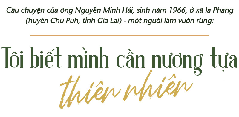 Trồng cây và nương tựa tự nhiên - Ảnh 1.