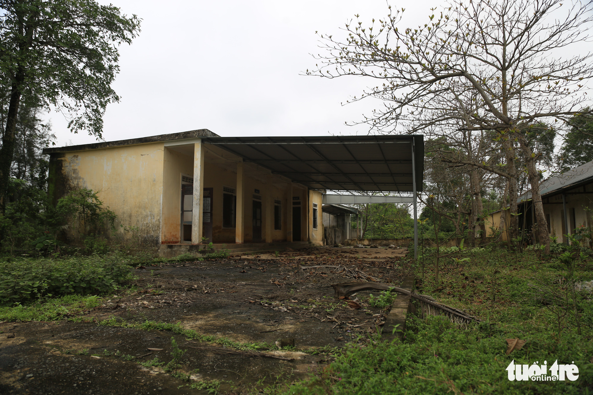 Cảnh hoang tàn tại Trung tâm Phục hồi chức năng và dưỡng sinh của ‘thần y’ Võ Hoàng Yên - Ảnh 3. Cảnh hoang tàn tại Trung tâm Phục hồi chức năng và dưỡng sinh của ‘thần y’ Võ Hoàng Yên - Ảnh 3.