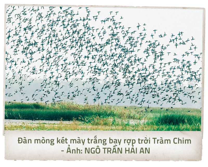 Tràm Chim lại rợp bóng chim - Ảnh 1.