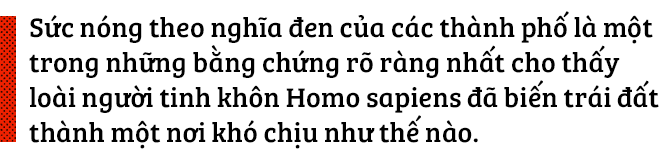 Để thành phố không hóa thành lò nướng - Ảnh 1.