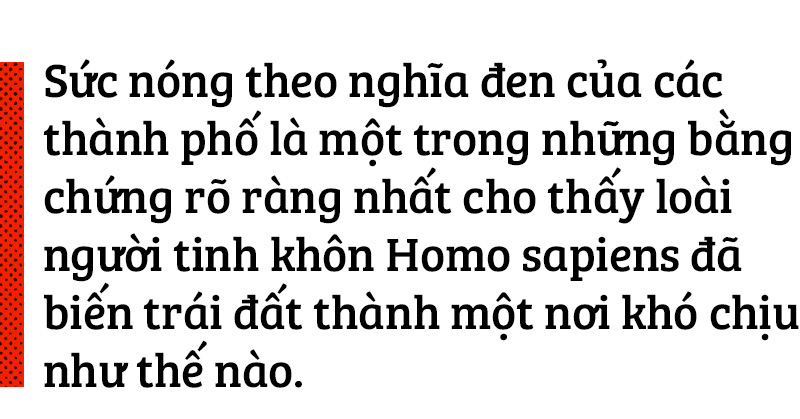 Để thành phố không hóa thành lò nướng - Ảnh 1.