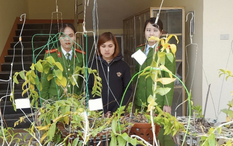 Lan đột biến, ngân hàng không đời nào rót vốn - Ảnh 1. Lan đột biến, ngân hàng không đời nào rót vốn - Ảnh 1.