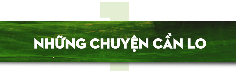 Bùng nổ sân GOLF - Ảnh 1.
