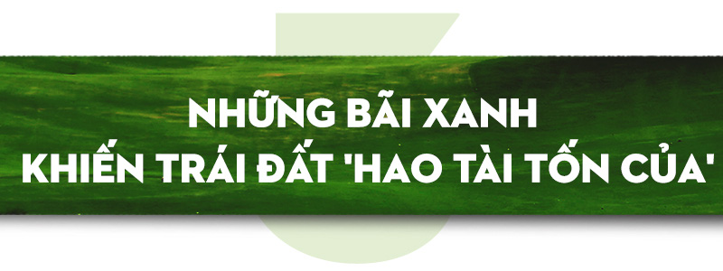 Bùng nổ sân GOLF - Ảnh 17.