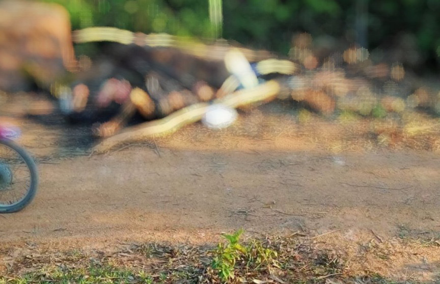 Phát hiện xác người đàn ông chết cháy dưới chân núi Nam Giới - Ảnh 1. Phát hiện xác người đàn ông chết cháy dưới chân núi Nam Giới - Ảnh 1.