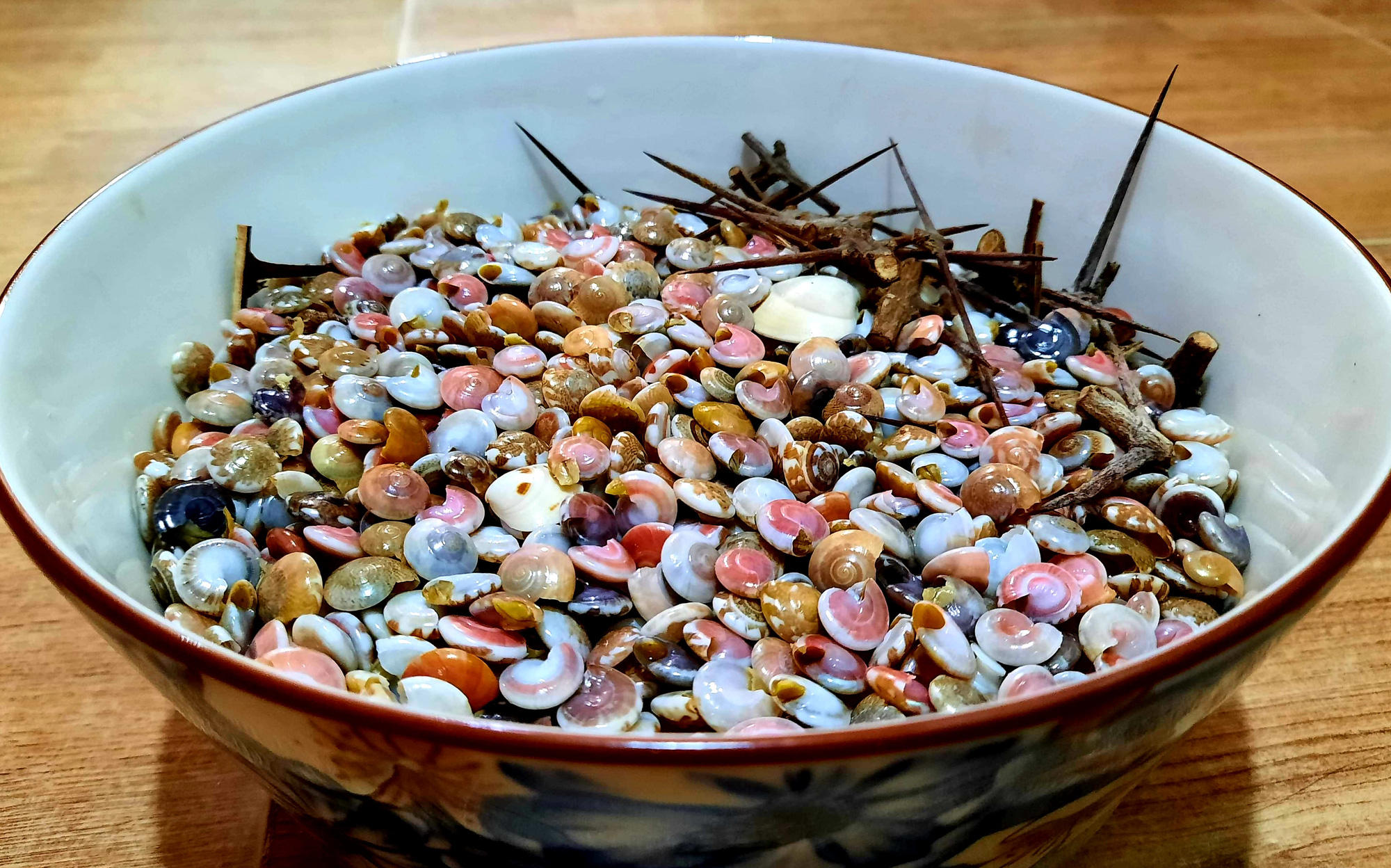 Nhà văn Nguyễn Nhật Ánh nhấm nháp ốc ruốc mà mê mà ghiền - Ảnh 1. Nhà văn Nguyễn Nhật Ánh nhấm nháp ốc ruốc mà mê mà ghiền - Ảnh 1.