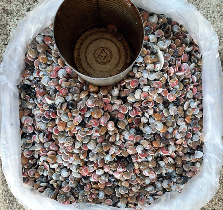 Nhà văn Nguyễn Nhật Ánh nhấm nháp ốc ruốc mà mê mà ghiền - Ảnh 2. Nhà văn Nguyễn Nhật Ánh nhấm nháp ốc ruốc mà mê mà ghiền - Ảnh 2.