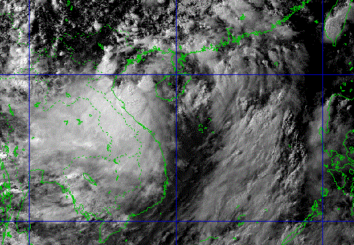 Khẩn trương sơ tán dân trên lồng, bè, kêu gọi tàu thuyền tránh bão số 2 - Ảnh 1. Khẩn trương sơ tán dân trên lồng, bè, kêu gọi tàu thuyền tránh bão số 2 - Ảnh 1.