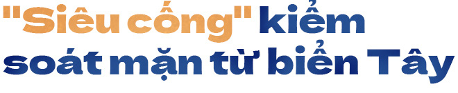 Bà con miền Tây hưởng lợi gì từ ‘siêu cống thủy lợi’? - Ảnh 1.