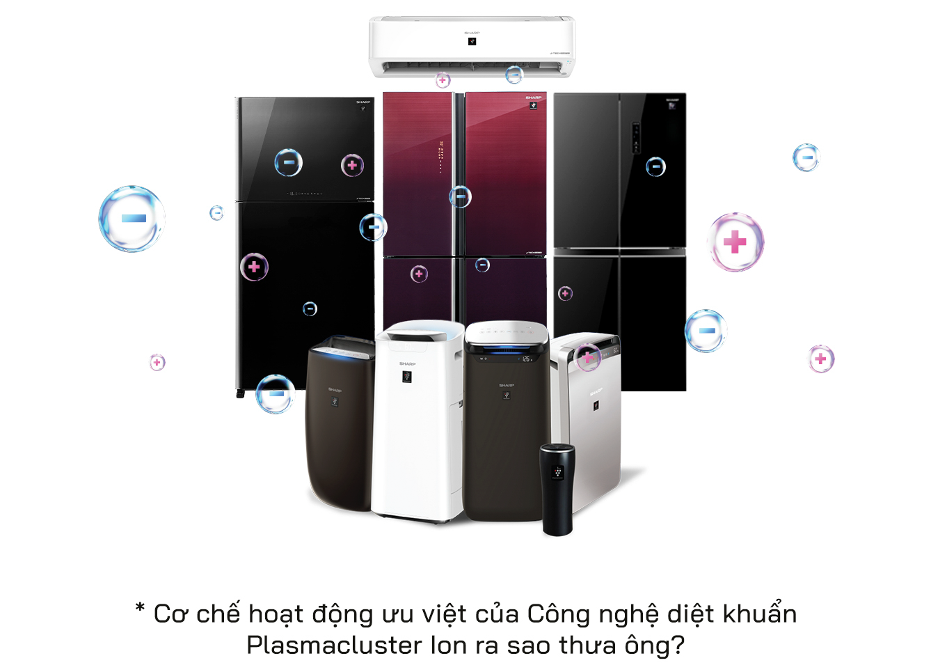 Phó tổng giám đốc Sharp Việt Nam: Chúng tôi chỉ hạnh phúc khi mang hạnh phúc đến cho người dùng - Ảnh 3.