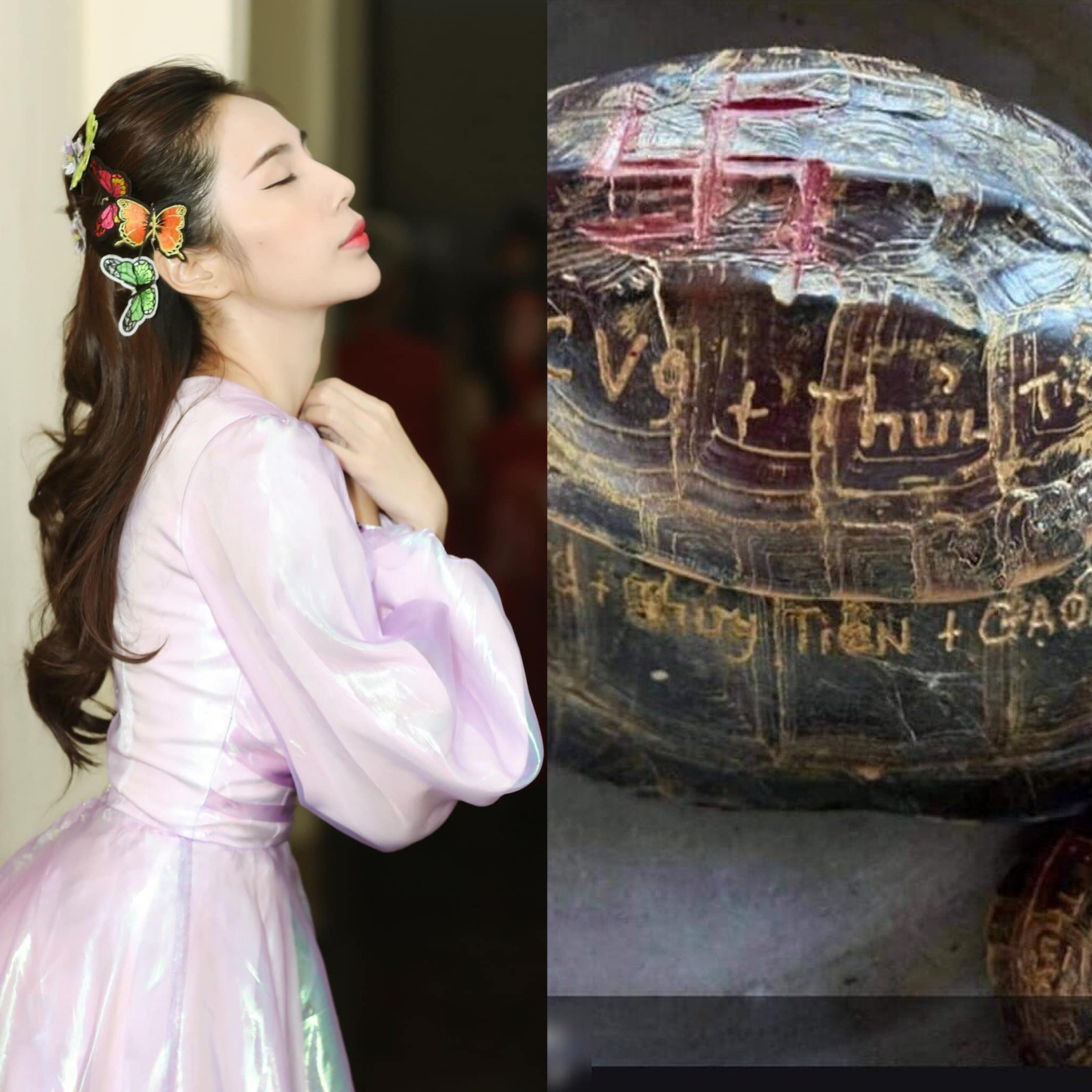 Tên gia đình Thủy Tiên khắc lên mai rùa phóng sinh gây nhiều phản ứng - Ảnh 2. Tên gia đình Thủy Tiên khắc lên mai rùa phóng sinh gây nhiều phản ứng - Ảnh 2.